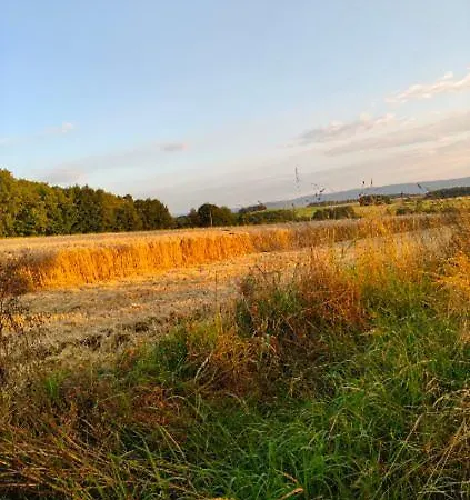Bajuszowa
